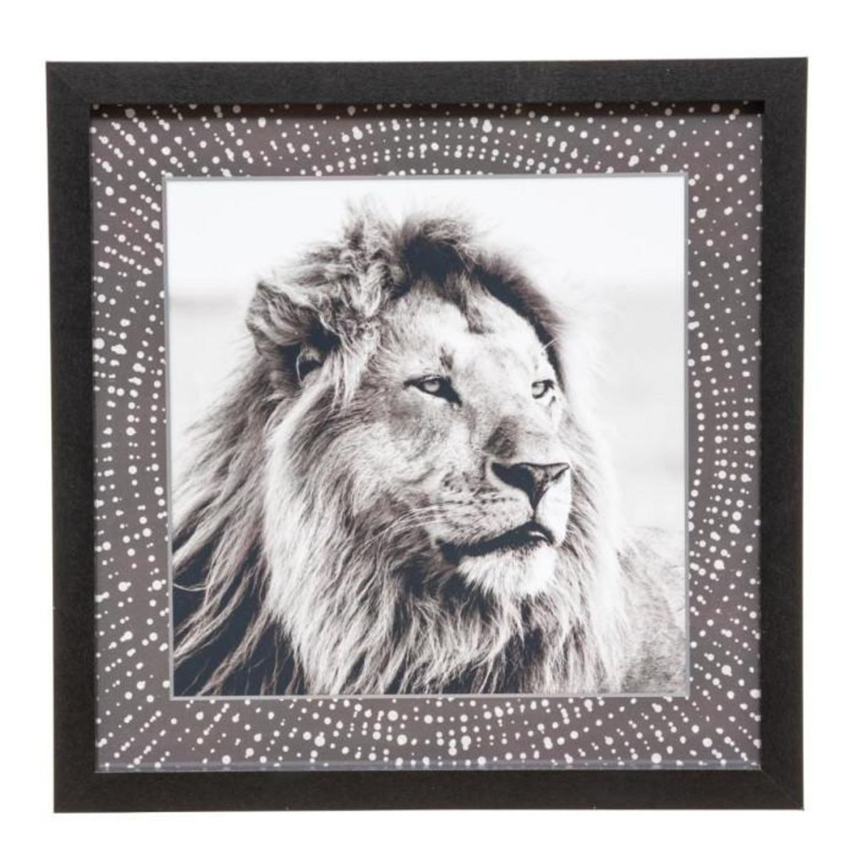 ATMOSPHERA Lot de 5 Cadres Déco  Savane  25cm Noir