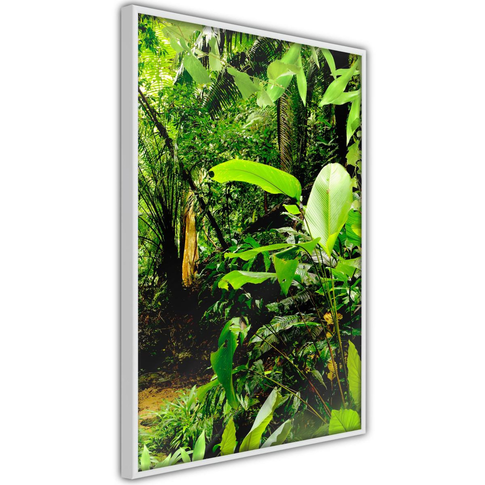 Paris Prix Affiche murale encadrée  in the rainforest