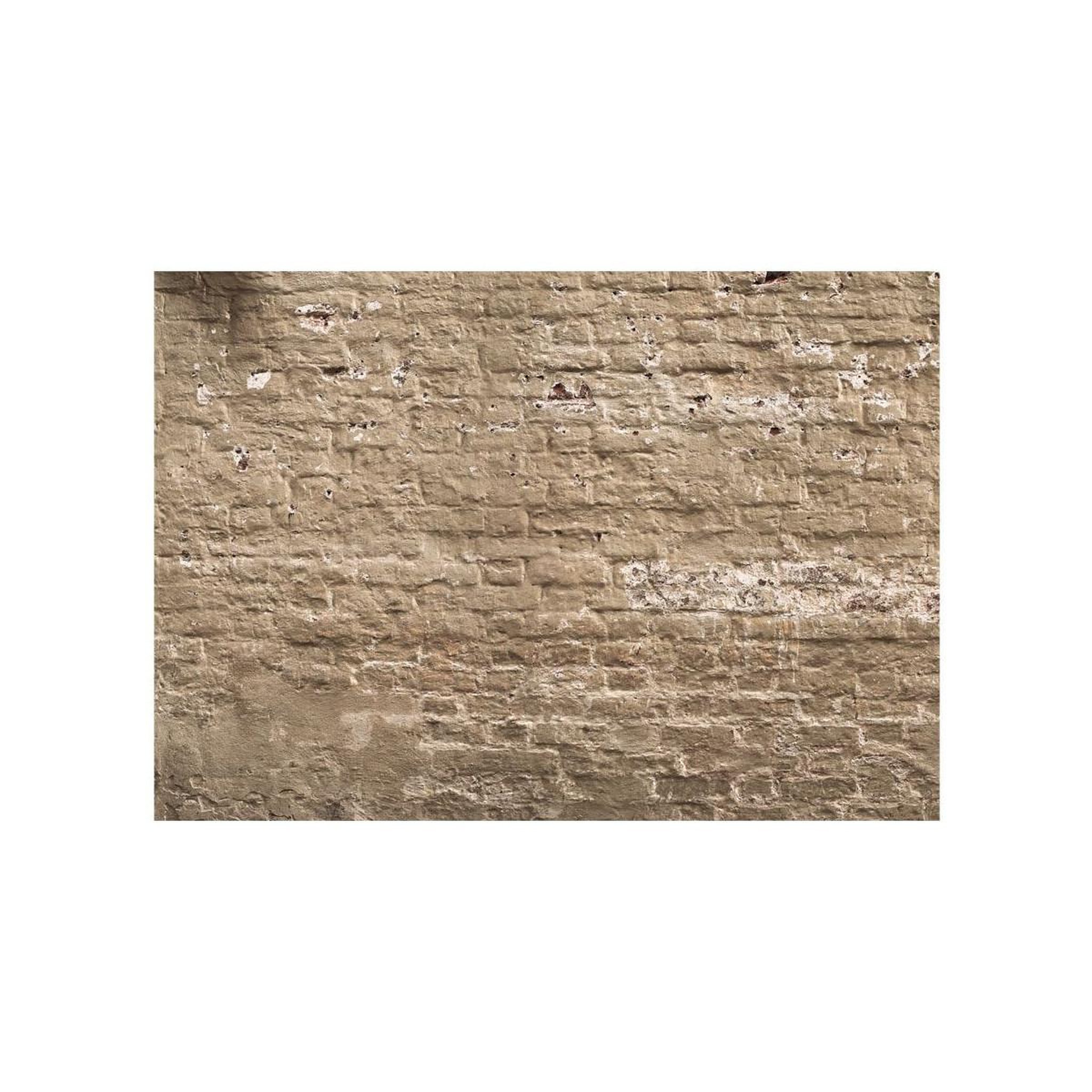 Voir la diapositive 2 : Paris Prix Papier peint  urban oasis