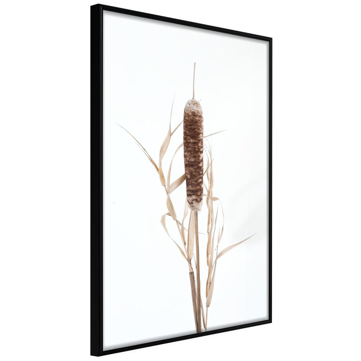 Paris Prix Affiche Murale Encadrée  Typha