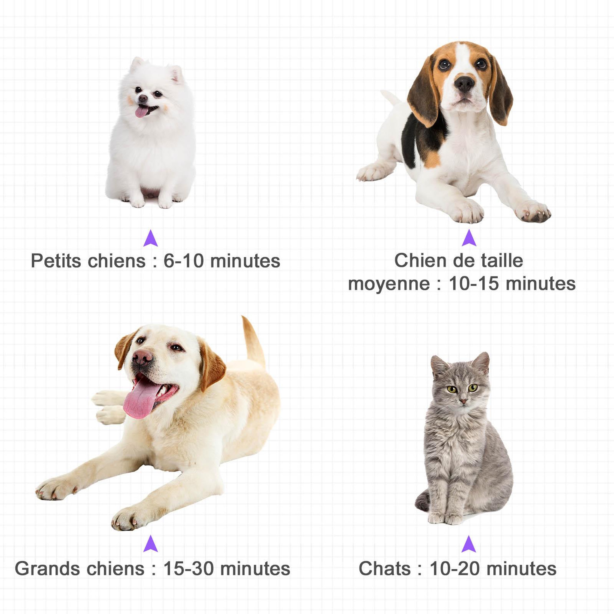 Voir la diapositive 6 : PAWHUT Séchoir sèche-poils toilettage professionnel pour chien chat animaux 2800 w température + vitesse réglable rose fuchsia noir