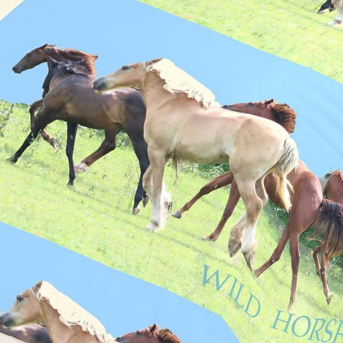 Dourev Housse de couette 140x200 CHIEL + 1 taie