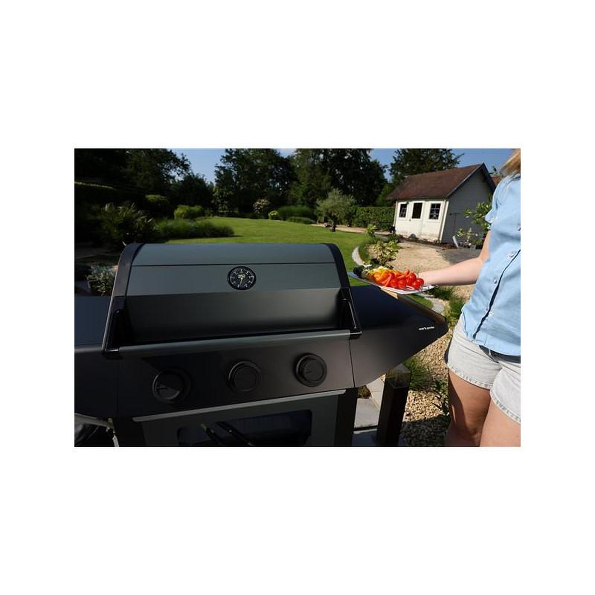 Voir la diapositive 3 : COOK IN GARDEN Barbecue gaz 3 feux 10.5kw - am253t