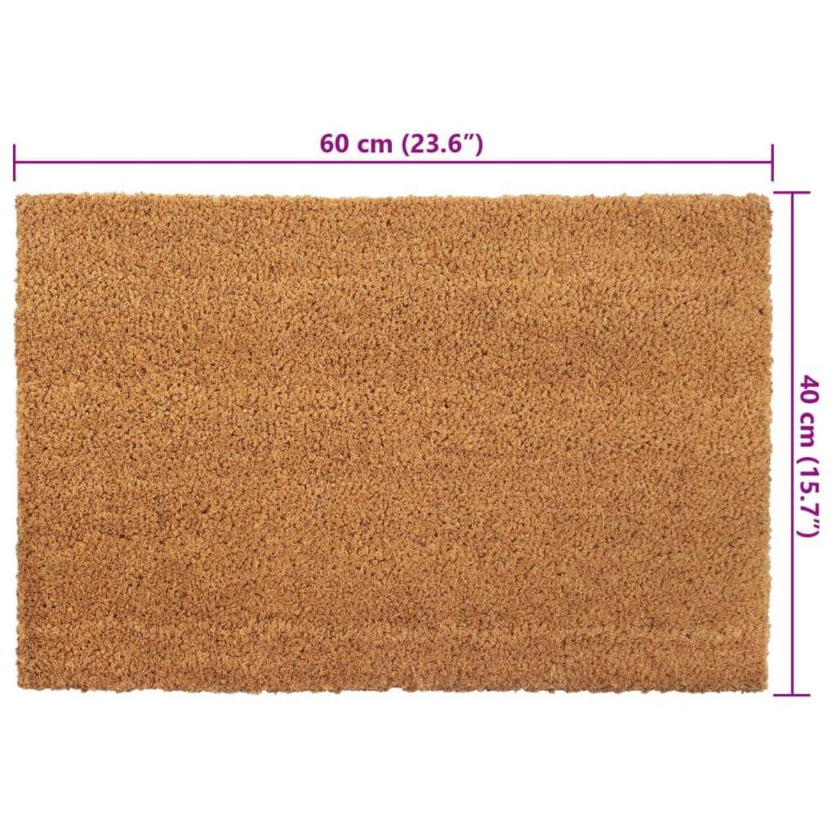 VIDAXL Tapis de porte 2 pcs naturel 40x60 cm fibre de coco touffete