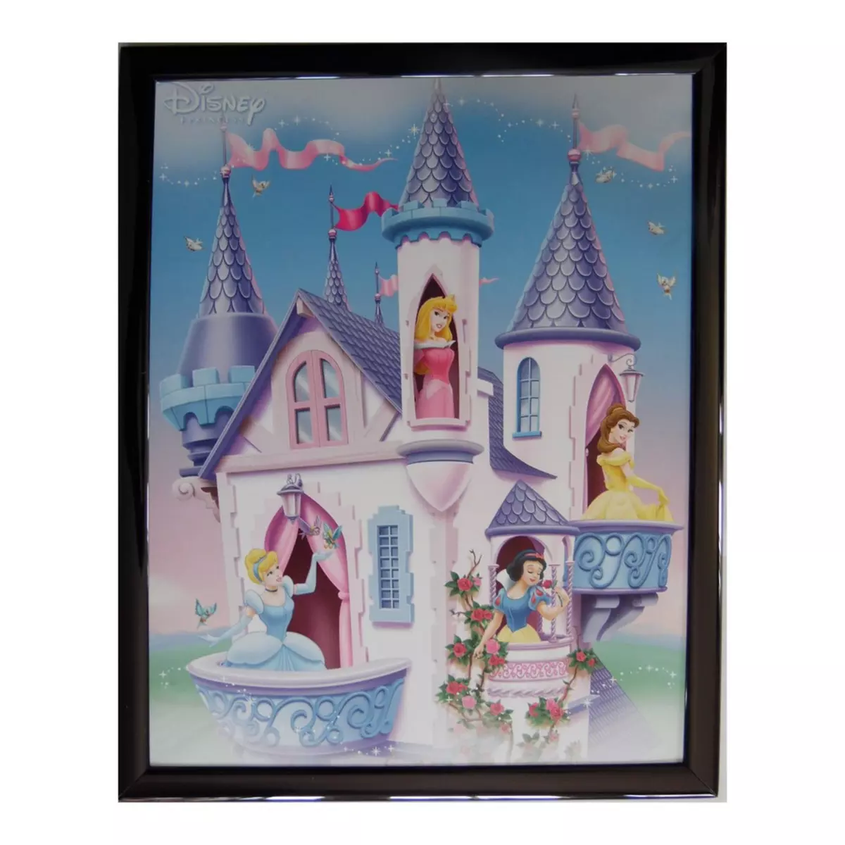  Tableau Princesse 20 x 25 cm Disney cadre enfant fille