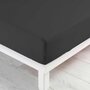 Voir la diapositive 1 : Paris Prix Drap Housse  Jersy  160x200cm Anthracite