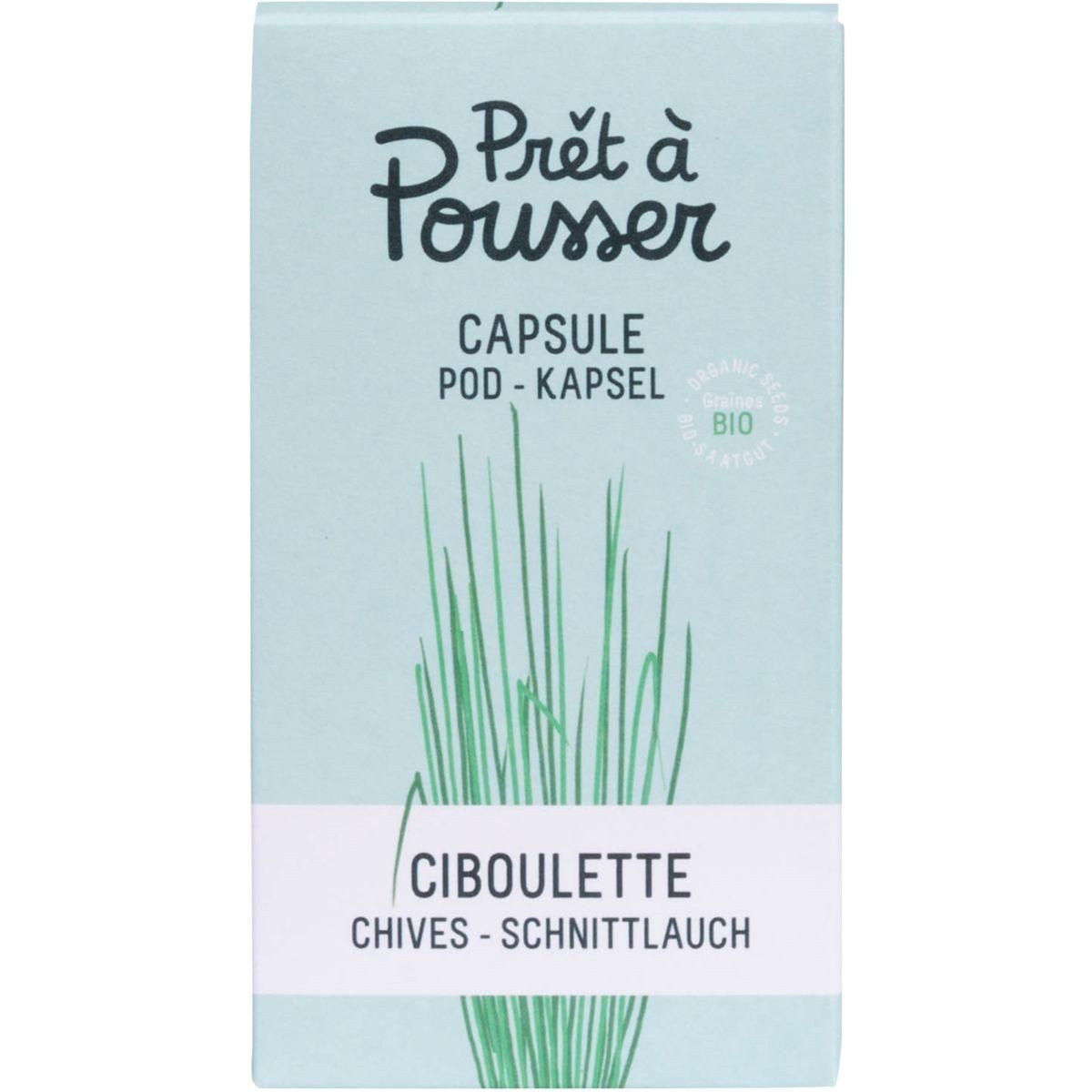 PrÃªt Ã  pousser Recharge jardin d'intérieur CIBOULETTE