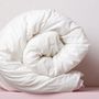 Voir la diapositive 2 : Mortreux Couette blanche toutes saisons 220x240 cm microfibre