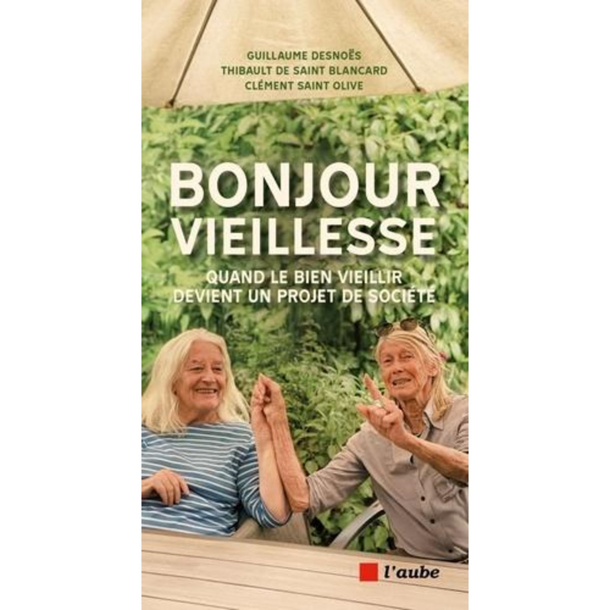 BONJOUR VIEILLESSE. QUAND LE BIEN VIEILLIR DEVIENT UN PROJET DE SOCIETE, Desnoës Guillaume