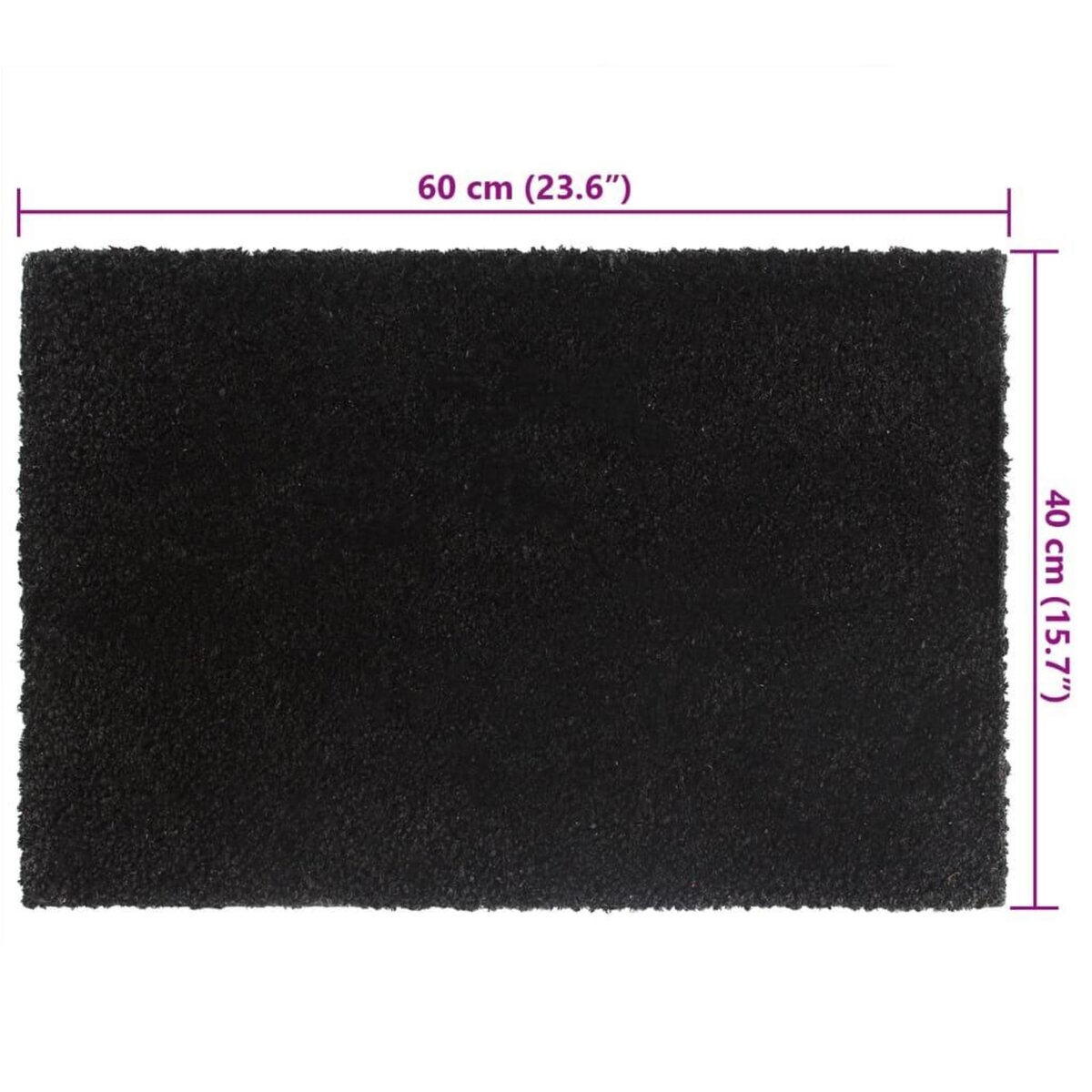 VIDAXL Tapis de porte 5 pcs noir 40x60 cm fibre de coco touffete