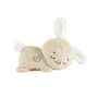Voir la diapositive 2 : FISHER PRICE Fisher-Price-Mon Lapin Câlin-Peluche veilleuse personnalisable HXG97