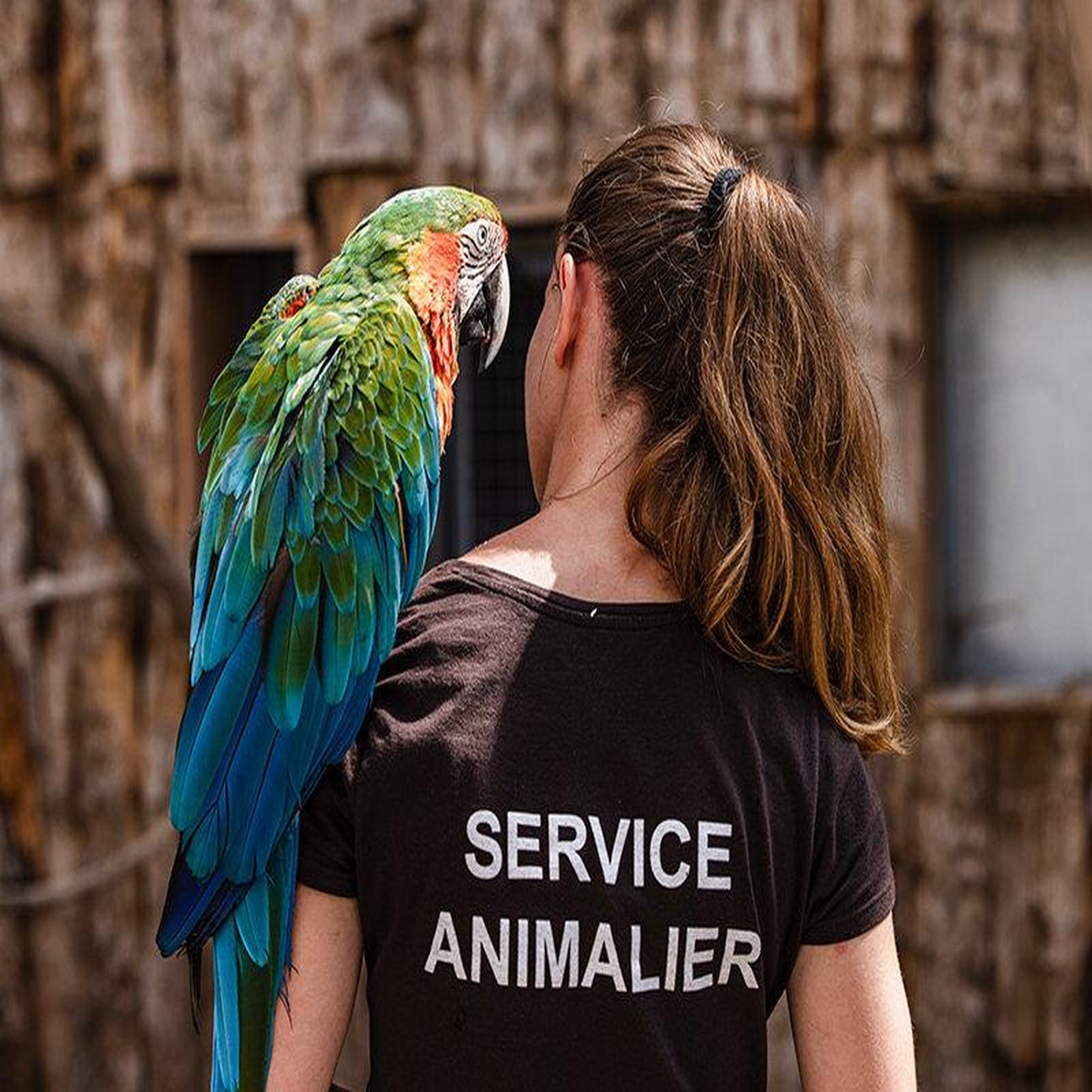 Voir la diapositive 5 : Smartbox 2 entrées adulte pour la tanière zoo refuge près de chartres - coffret cadeau multi-thèmes