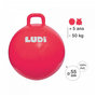 Voir la diapositive 3 : LUDI Ballon sauteur xxl rouge
