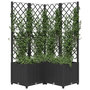Voir la diapositive 3 : VIDAXL Jardiniere avec treillis Noir 80x80x136 cm PP