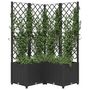 Voir la diapositive 3 : VIDAXL Jardiniere avec treillis Noir 80x80x136 cm PP