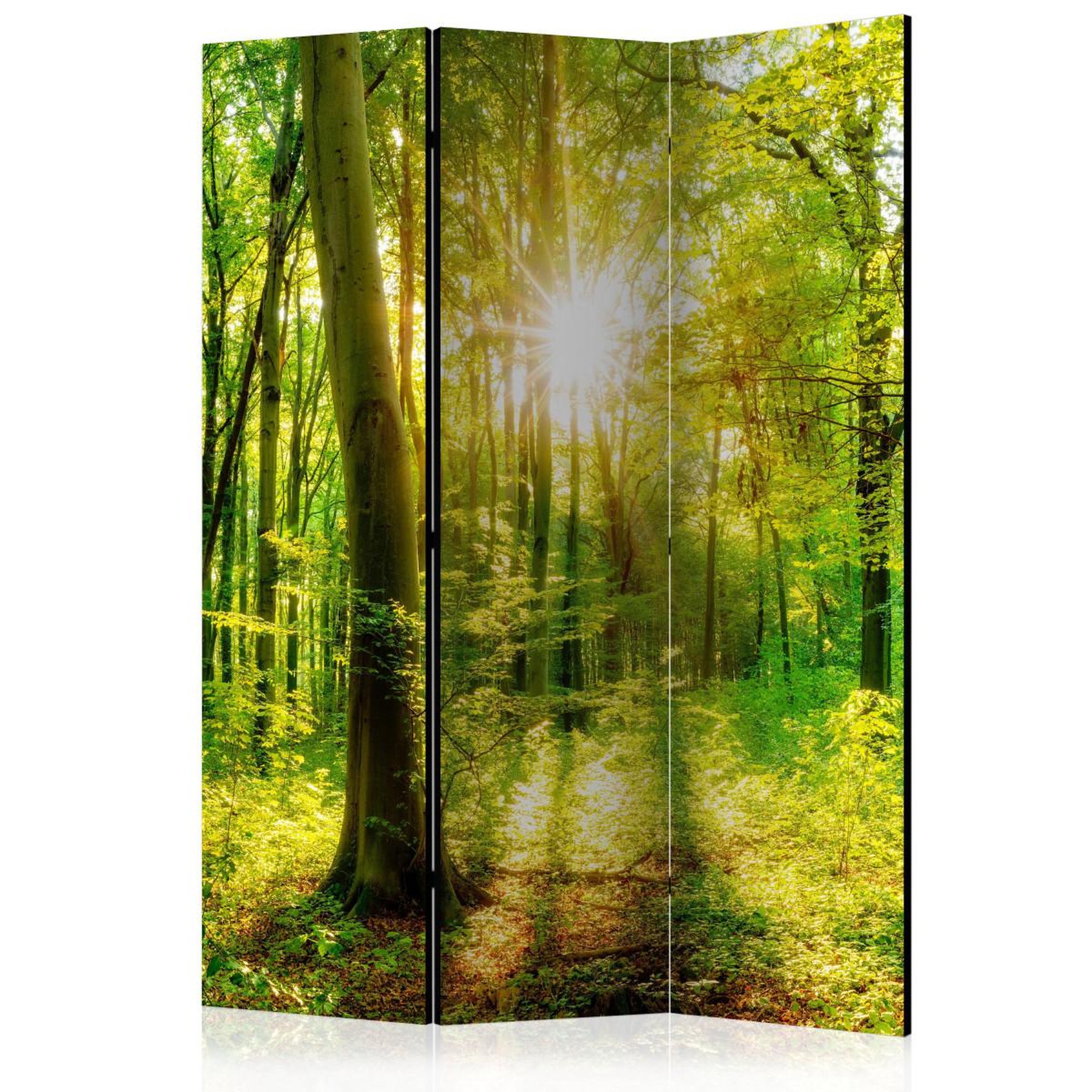 Paris Prix Paravent 3 volets  forest rays  135x172cm