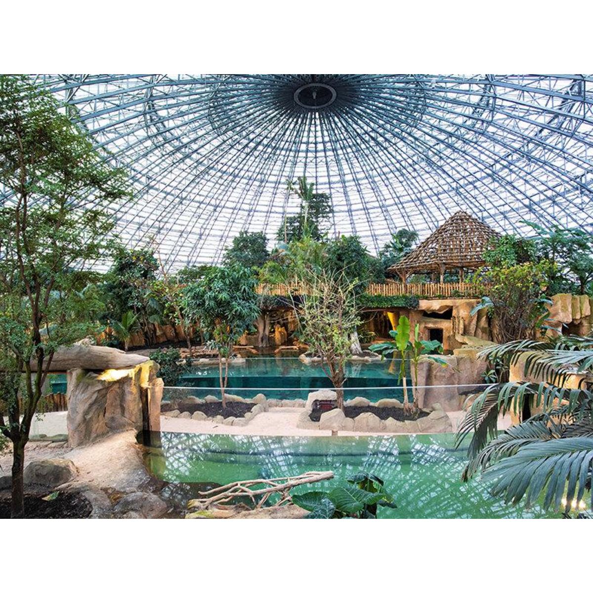 Smartbox Billets pour le ZooParc de Beauval 2025 : 2 entrées adulte et 1 entrée enfant pour 2 journées - Coffret Cadeau Multi-thèmes