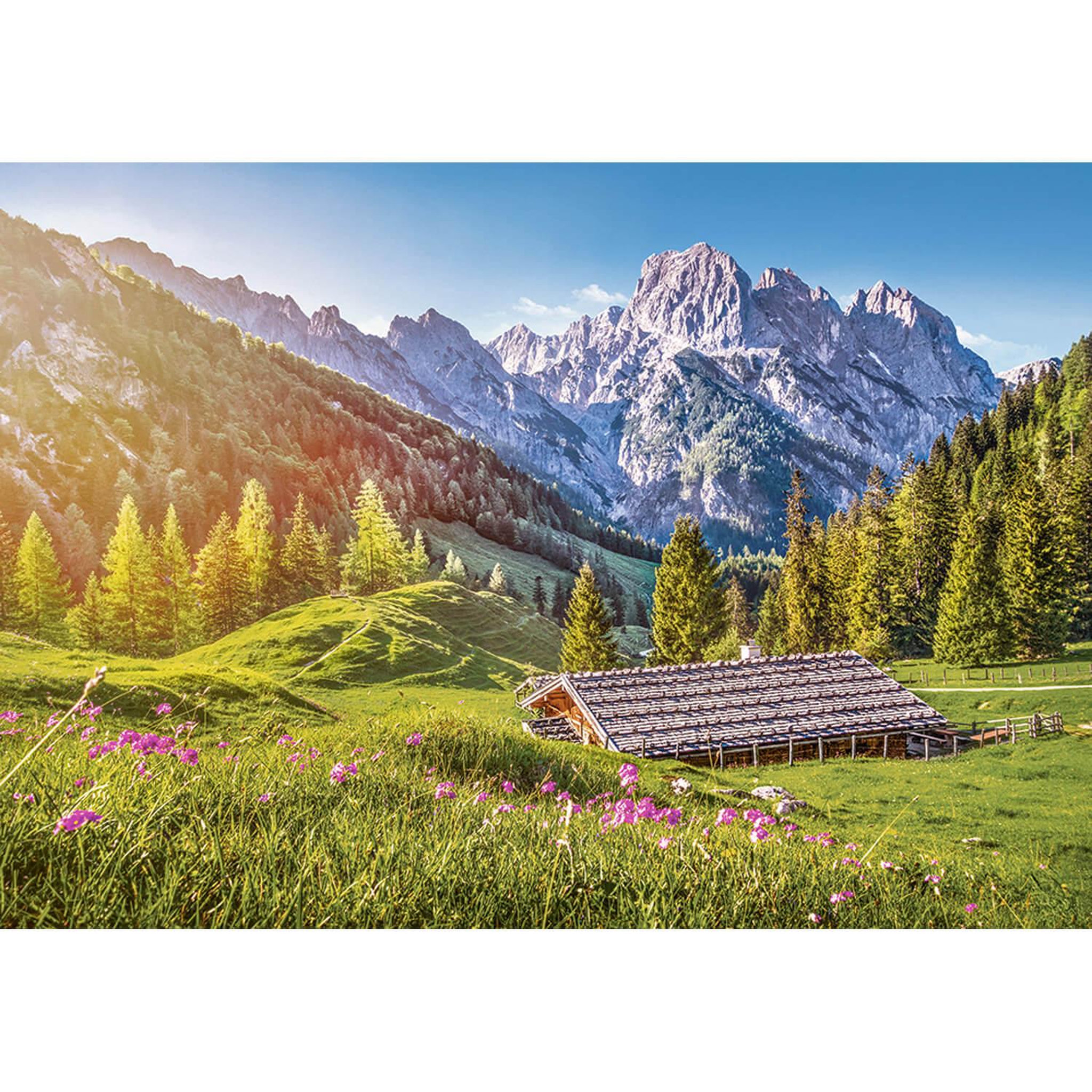 Castorland Puzzle 500 pièces : Eté dans les Alpes