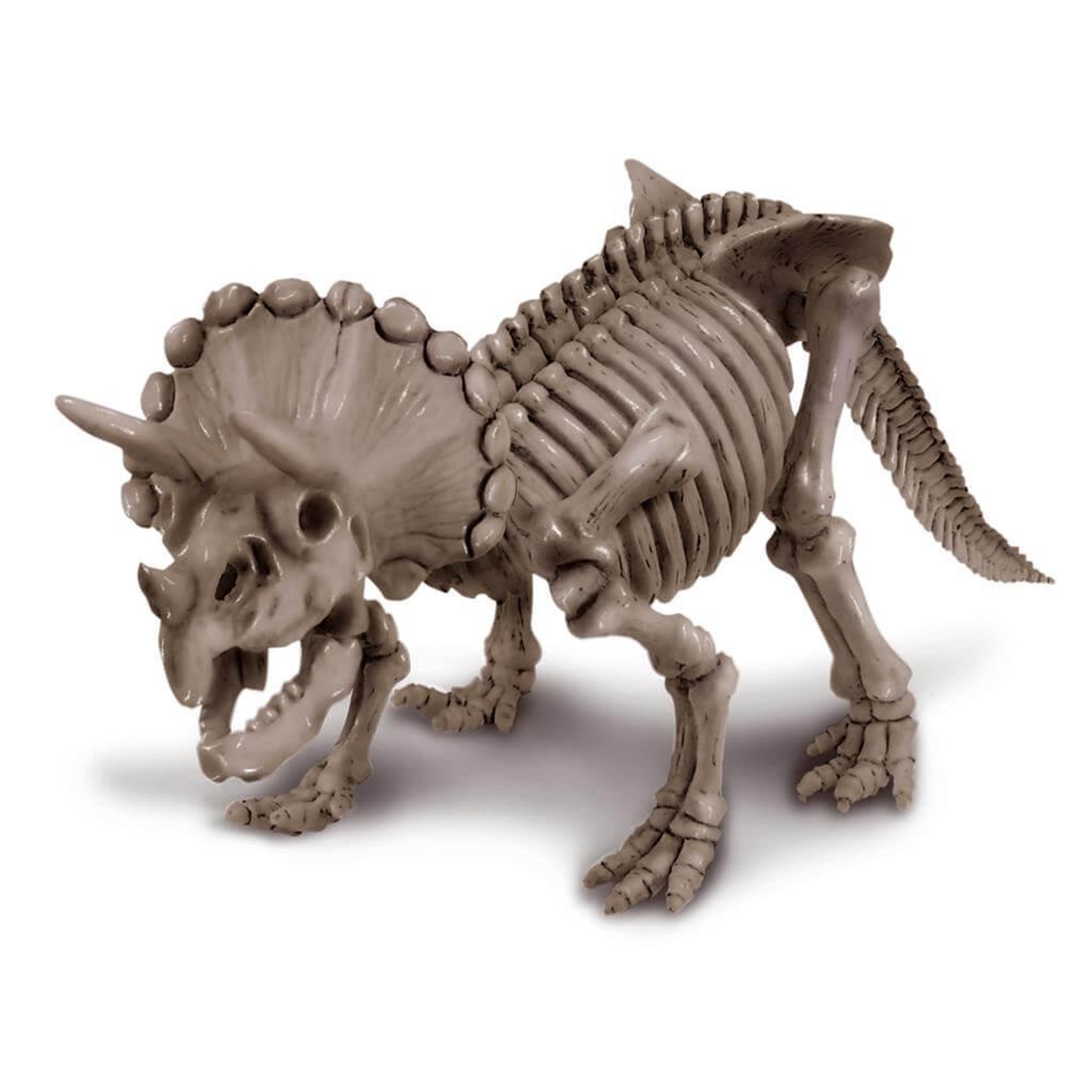 Voir la diapositive 2 : 4M Déterre ton dinosaure : tricératops