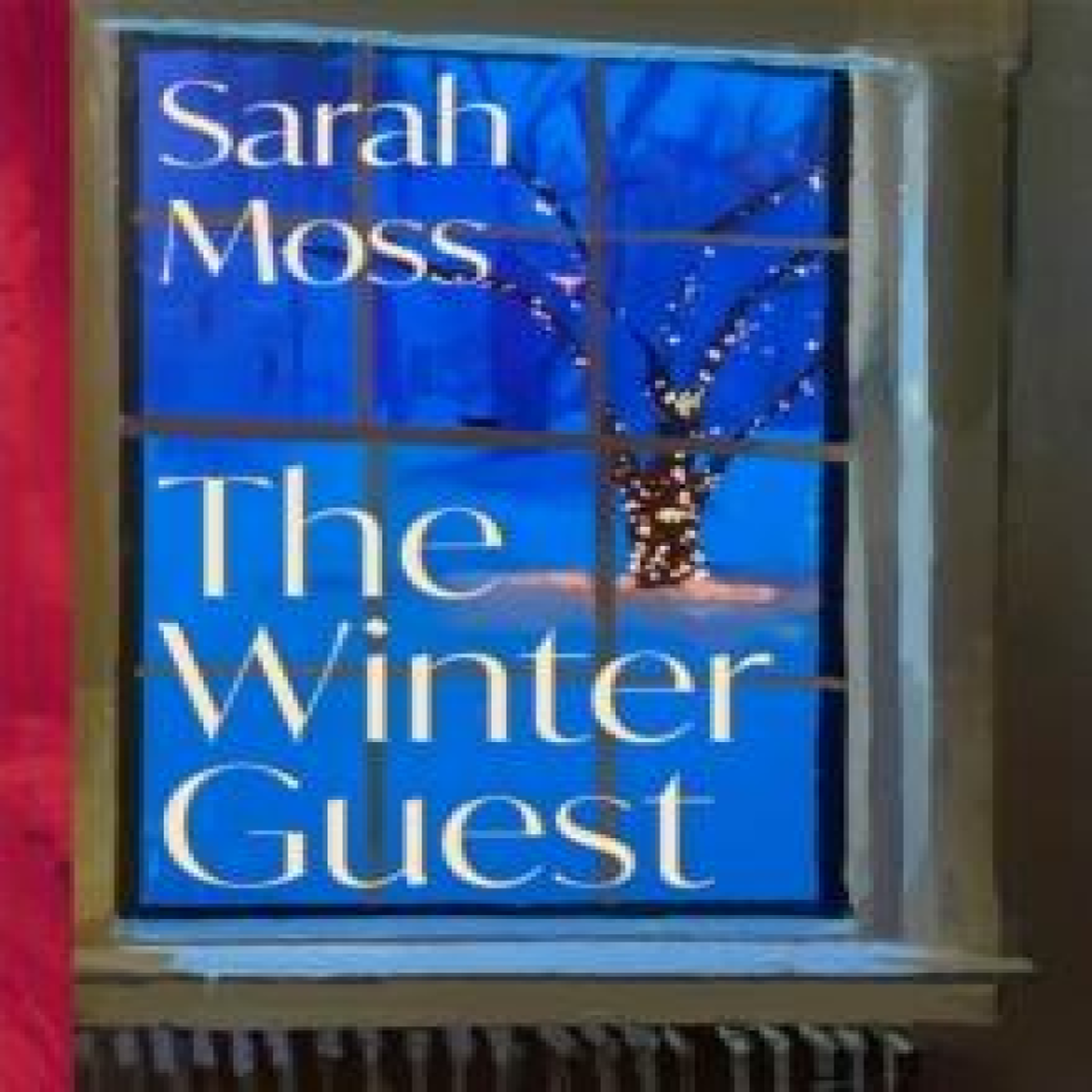LIVRES The Winter Guest - Sarah Moss