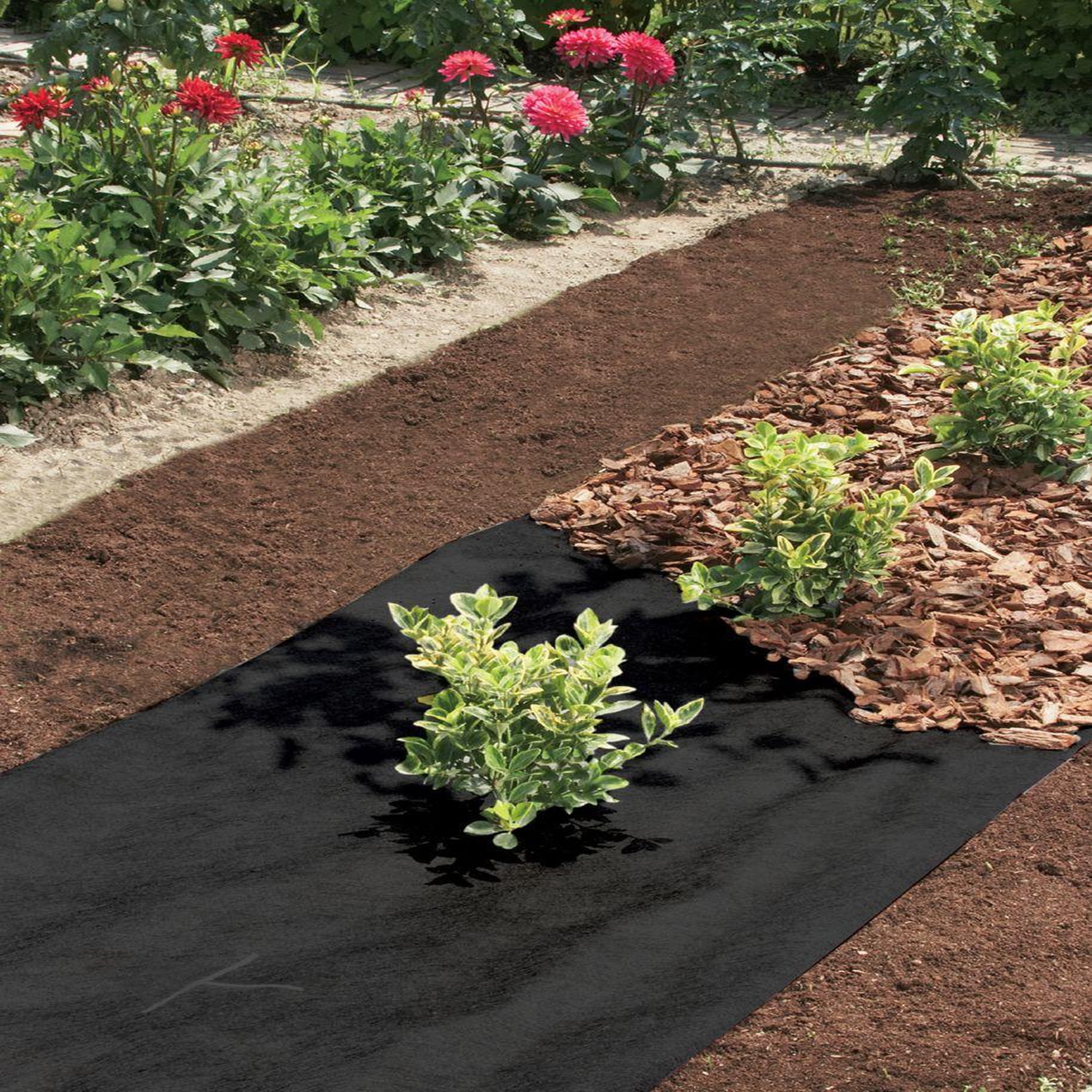 Nortene Nappe de jardinage et bricolage  Terratex  1 x 10 m - plié