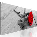 Paris Prix Tableau Imprimé  Carmine Rose. Coloris disponibles : Multicolore