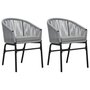 Voir la diapositive 1 : VIDAXL Chaises de jardin lot de 2 Anthracite Rotin PE