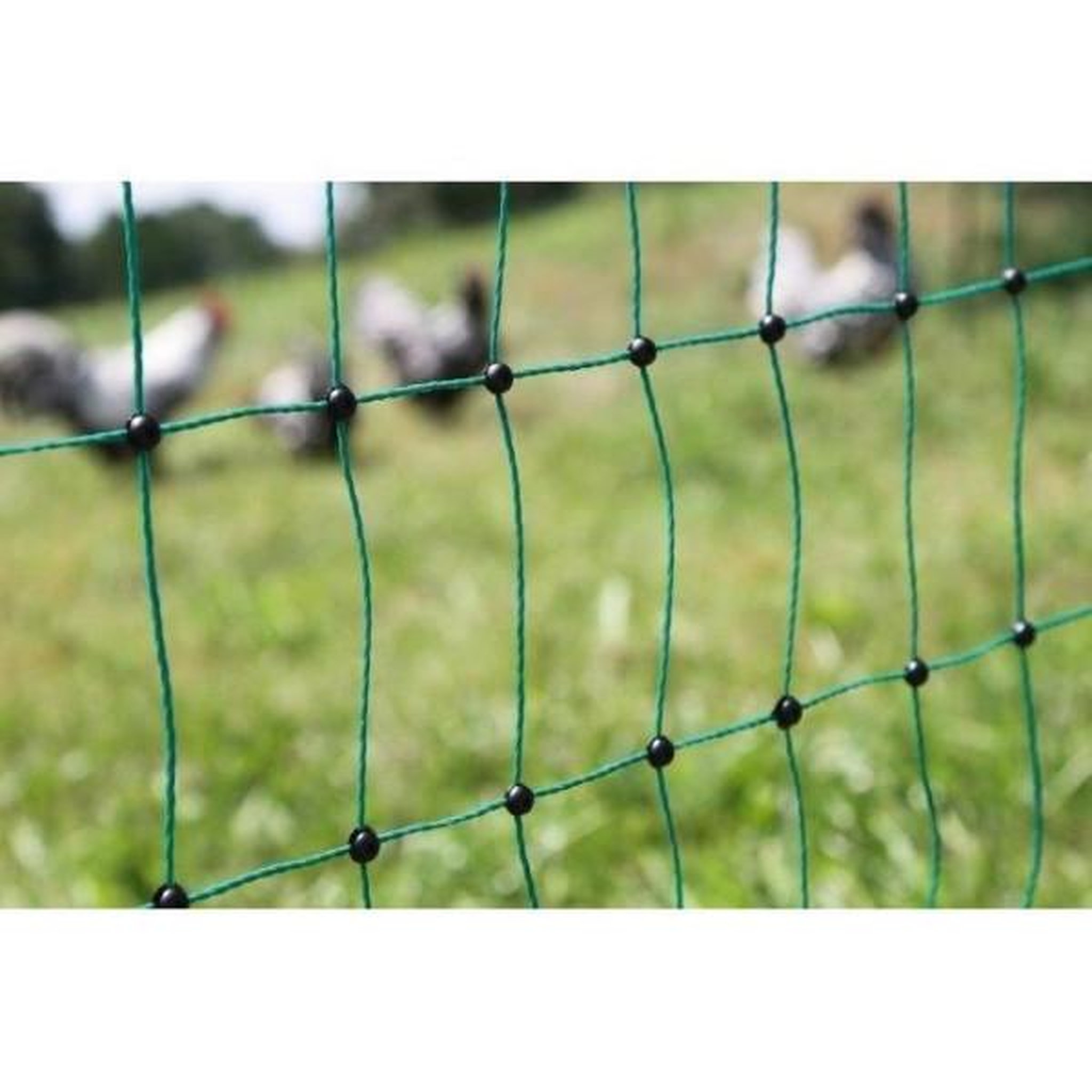 Voir la diapositive 3 : KERBL KERBL - Filet de protection volaille - 25 m - 106 cm - Double pointe - Vert