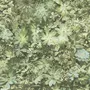 Noordwand Noordwand Papier peint Evergreen Succulent vert et beige