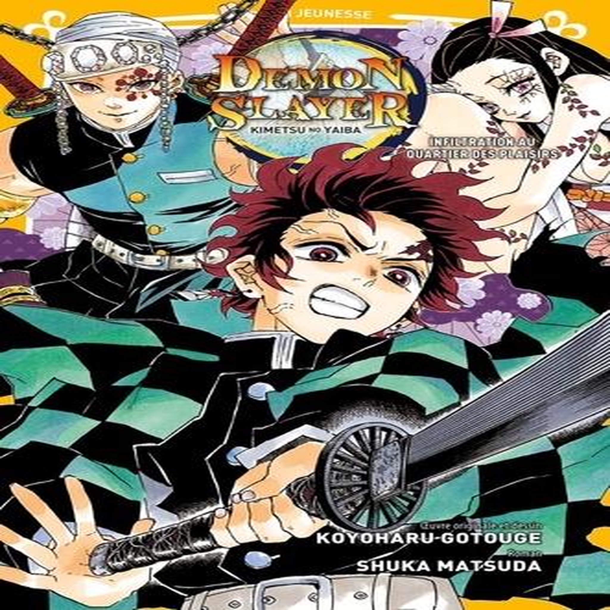 DEMON SLAYER ROMAN TOME 4 : INFILTRATION AU QUARTIER DES PLAISIRS, Gotouge Koyoharu