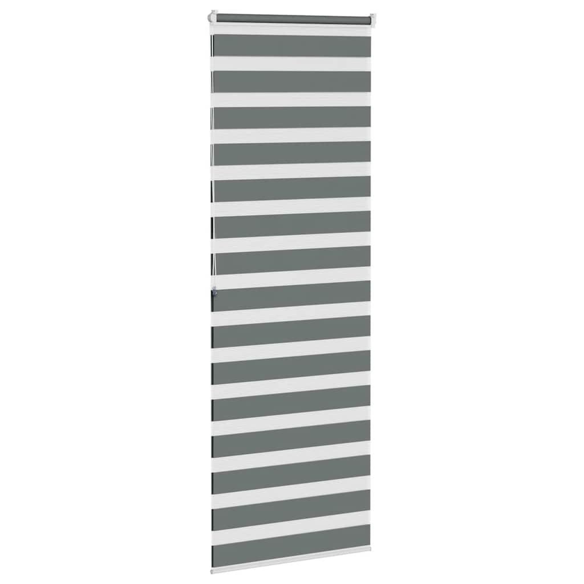 Voir la diapositive 3 : VIDAXL Store zebre gris fonce largeur du tissu 75,9 cm polyester
