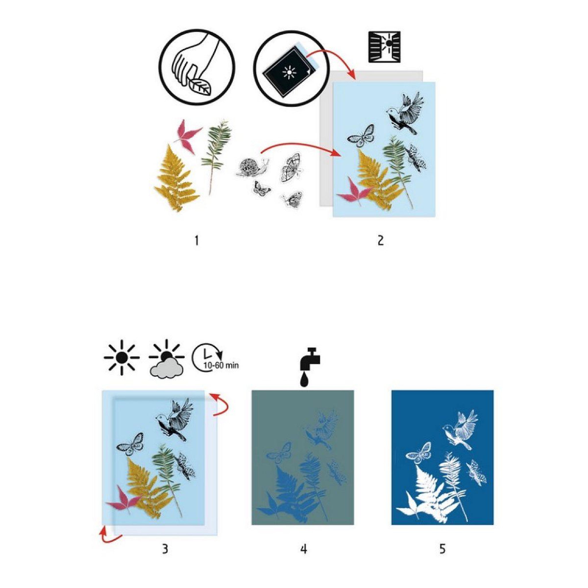 Voir la diapositive 2 : Djeco Cyanotype starter kit - fsc mix