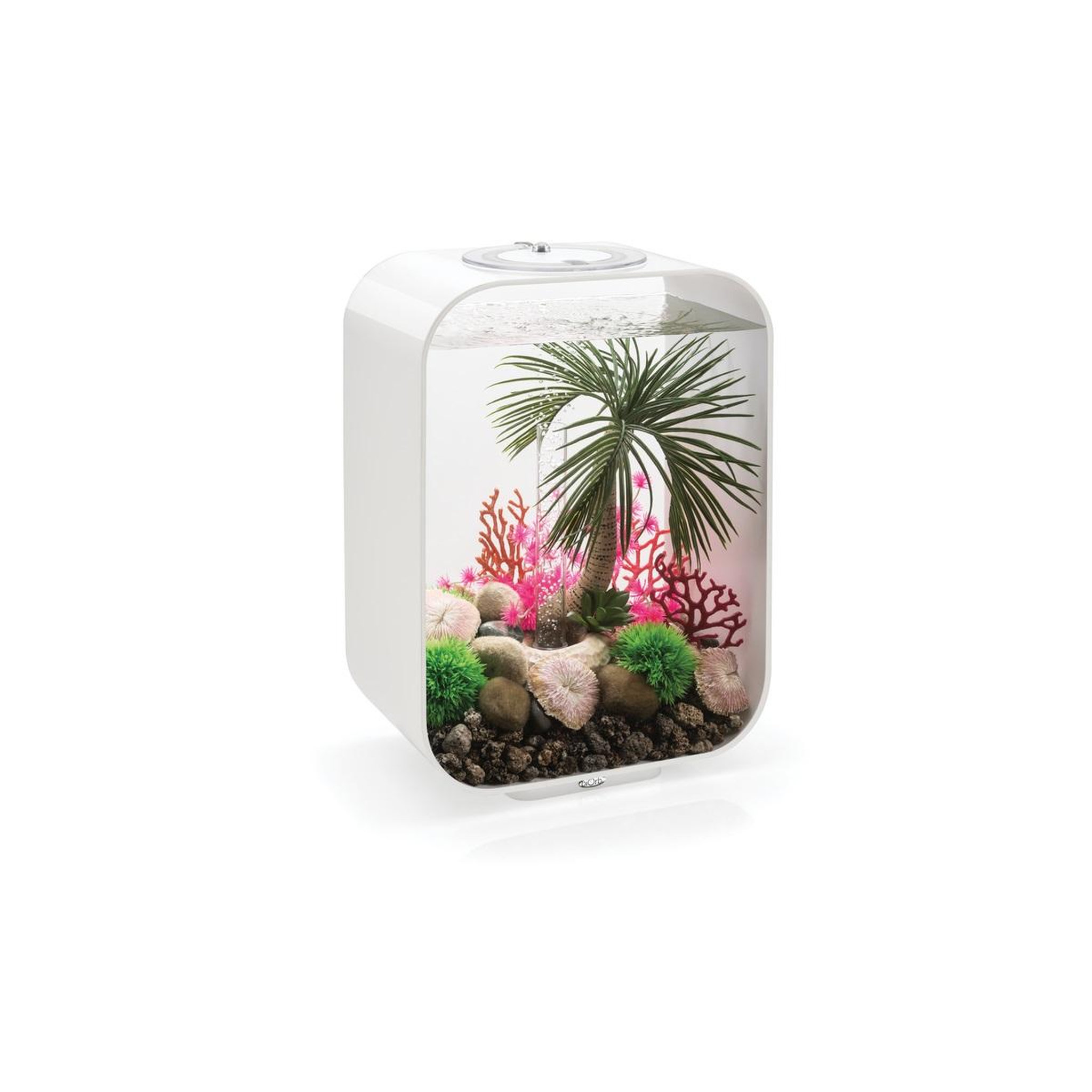Voir la diapositive 2 : Oase Aquarium décoratif 15l avec cadre blanc - life 15 mcr white