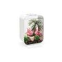 Voir la diapositive 2 : Oase Aquarium décoratif 15l avec cadre blanc - Life 15 MCR white