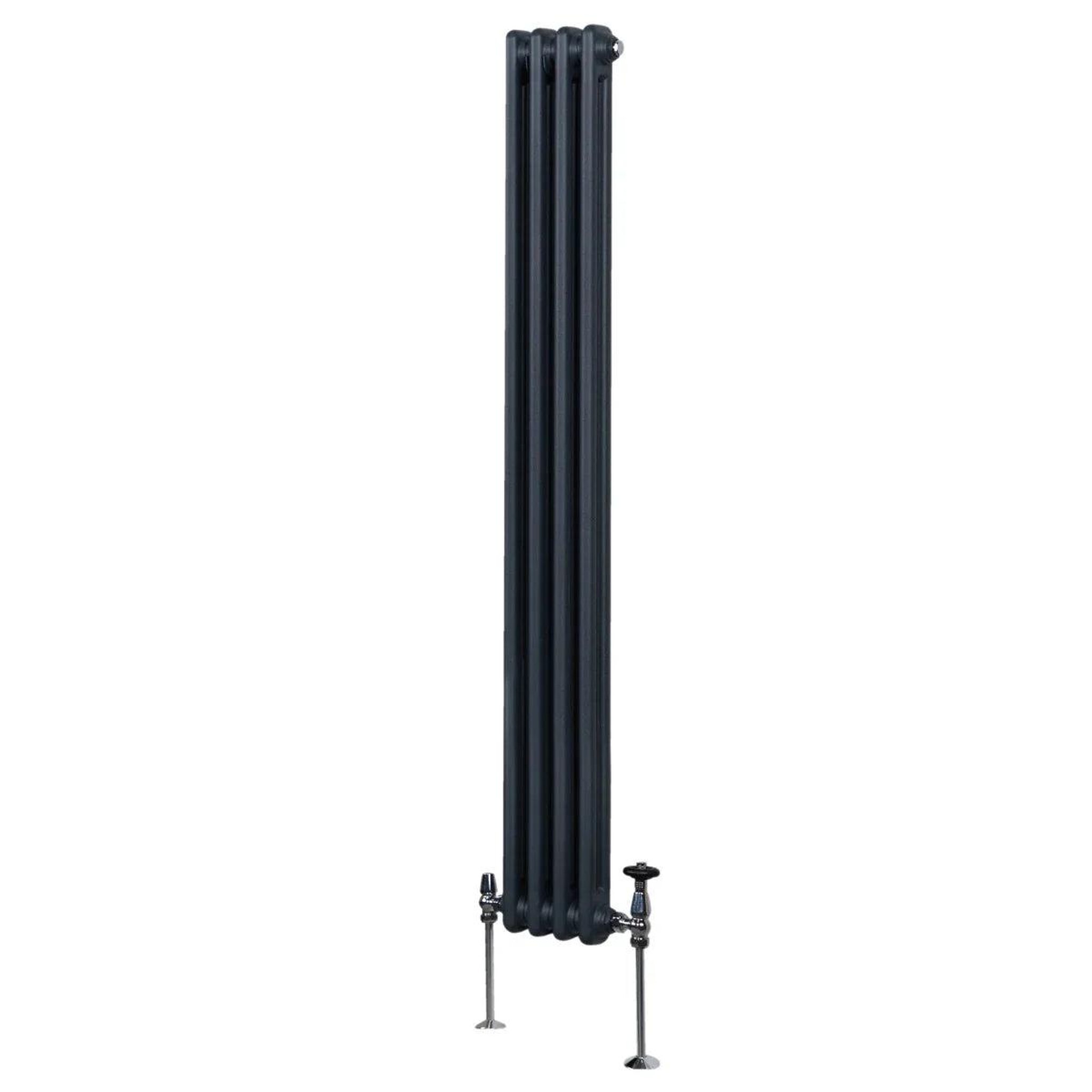 Voir la diapositive 1 : MONSTERSHOP Radiateur traditionnel à 2 colonnes – 1800 x 202 mm