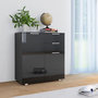 Voir la diapositive 1 : VIDAXL Buffet Noir brillant 71x35x80 cm Bois d'ingenierie