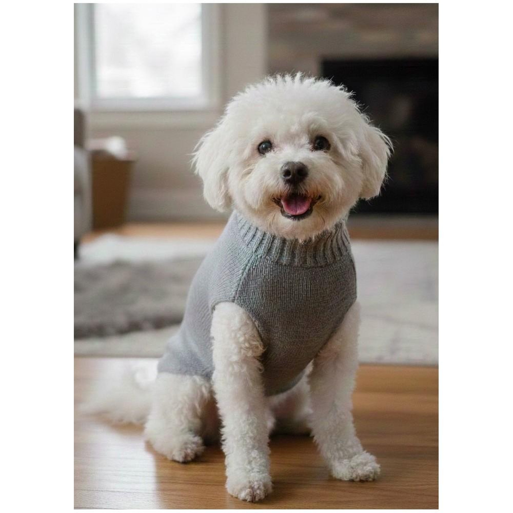 Voir la diapositive 2 : MON AMI LUKI Pull over - doux et confortable - petit chien