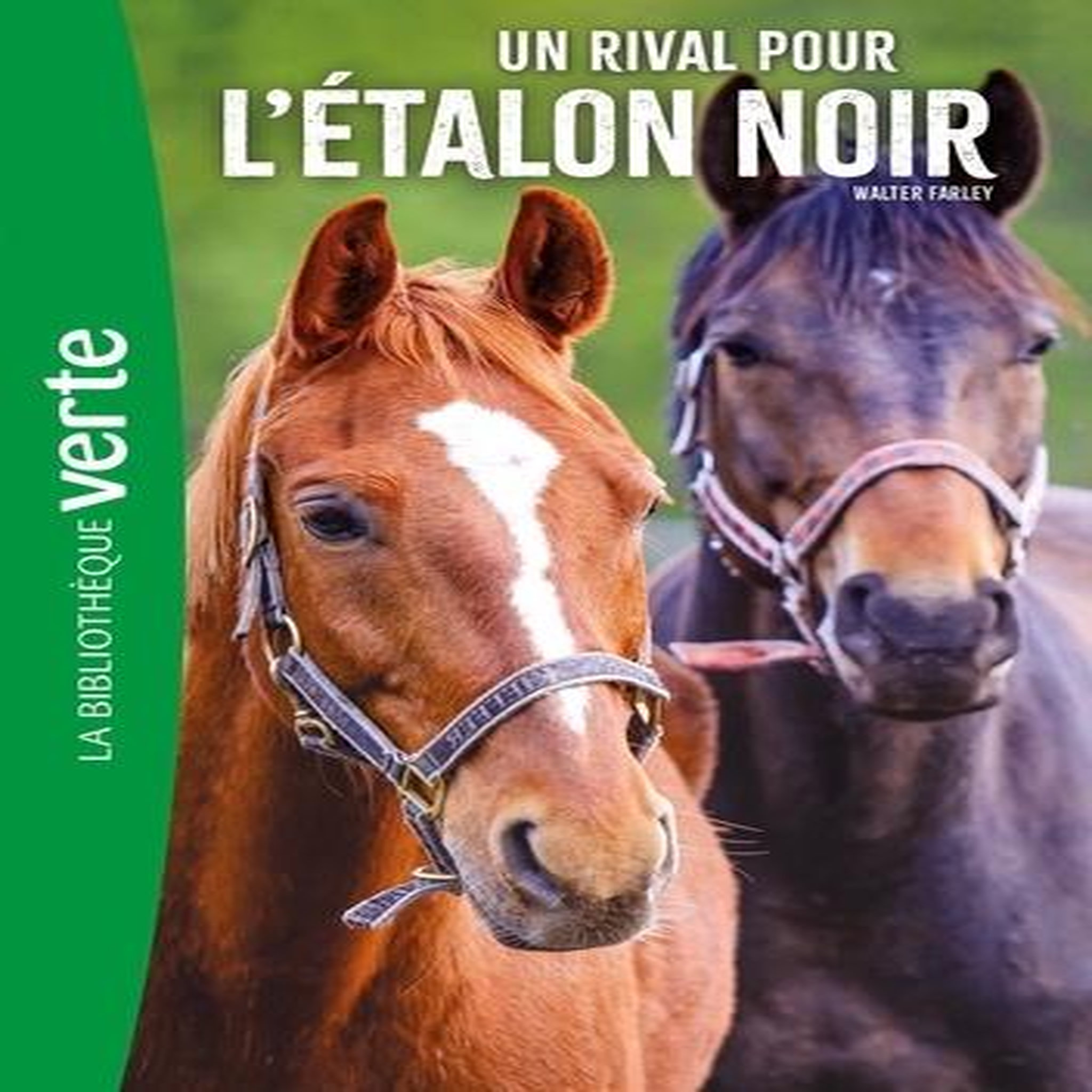 L'ETALON NOIR TOME 14 : UN RIVAL POUR L'ETALON NOIR, Farley Walter