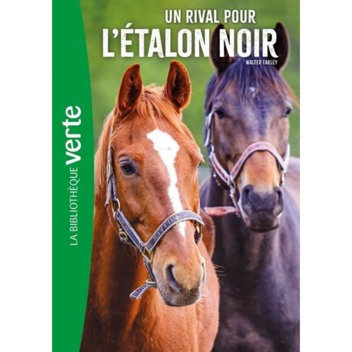 L'ETALON NOIR TOME 14 : UN RIVAL POUR L'ETALON NOIR, Farley Walter