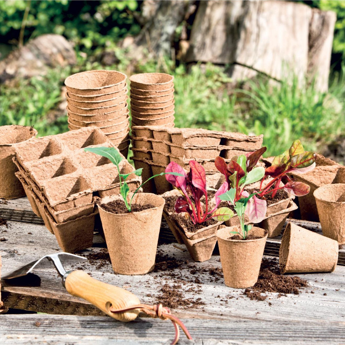  Godet de culture carré  16x12x5cm  4cmx48p Windhager