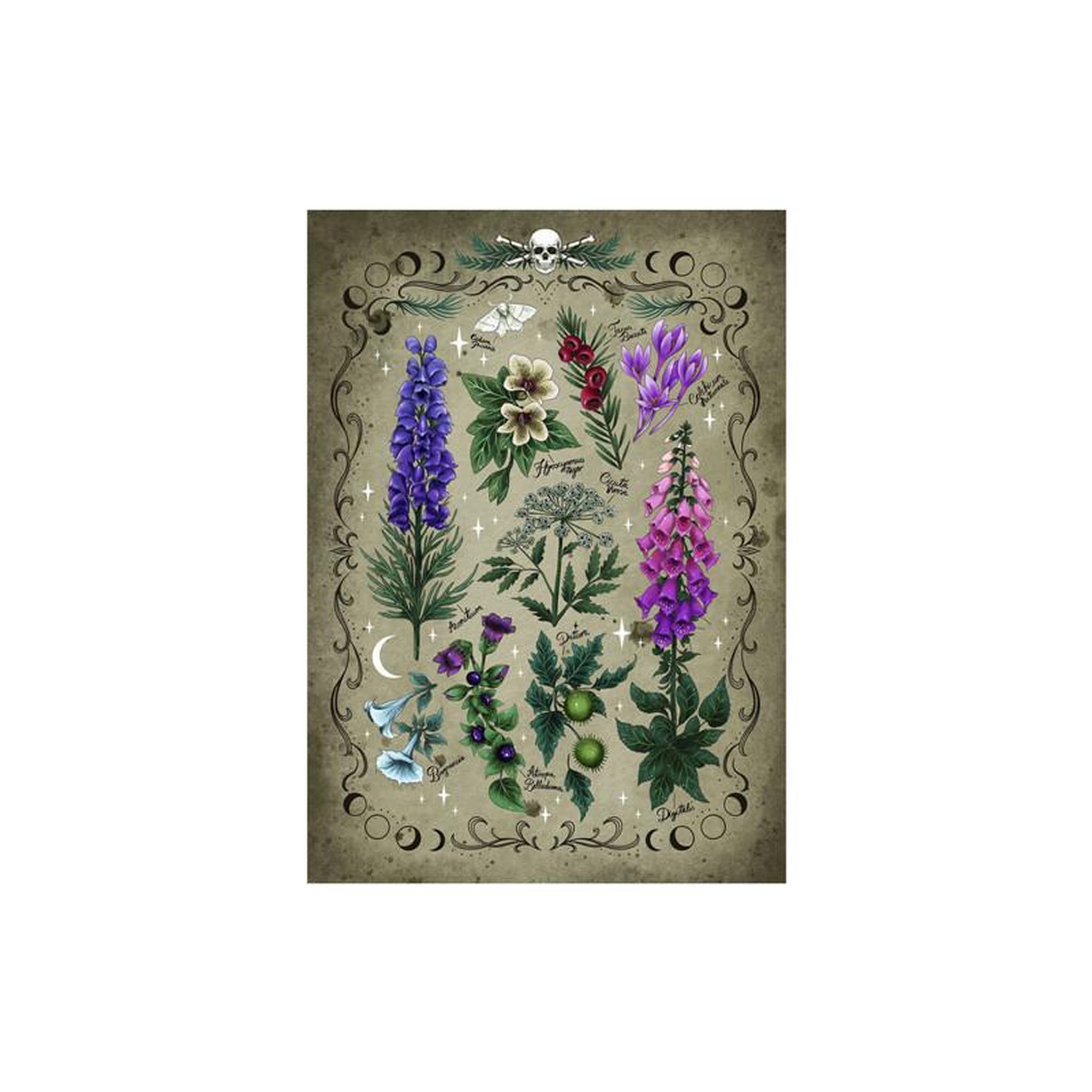 Voir la diapositive 2 : RAVENSBURGER Ravensburger - Jigsaw puzzle Giftpflanzen, 1000 pcs. 12000781 4