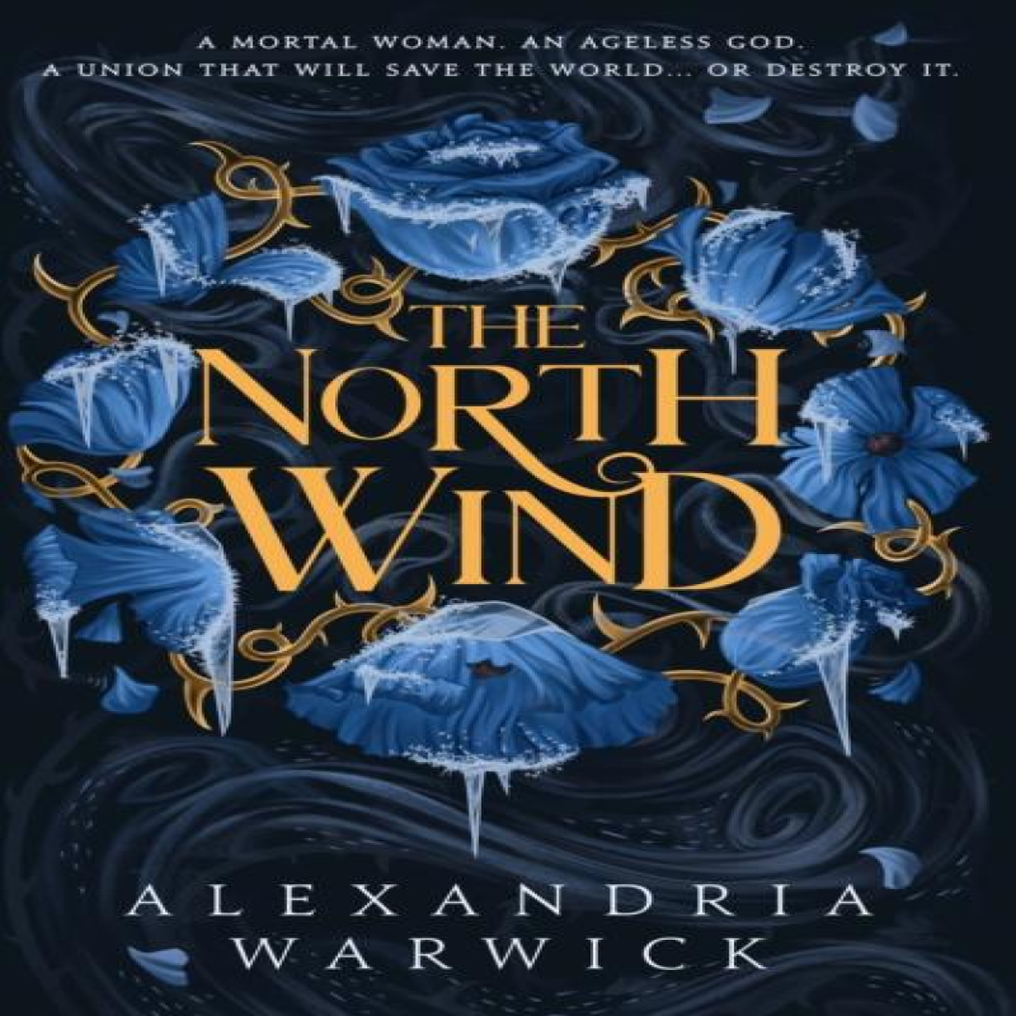 LIVRES The North Wind : The TikTok sensation! An enthralling enemies-to-lovers romantasy, the first in the Four Winds series