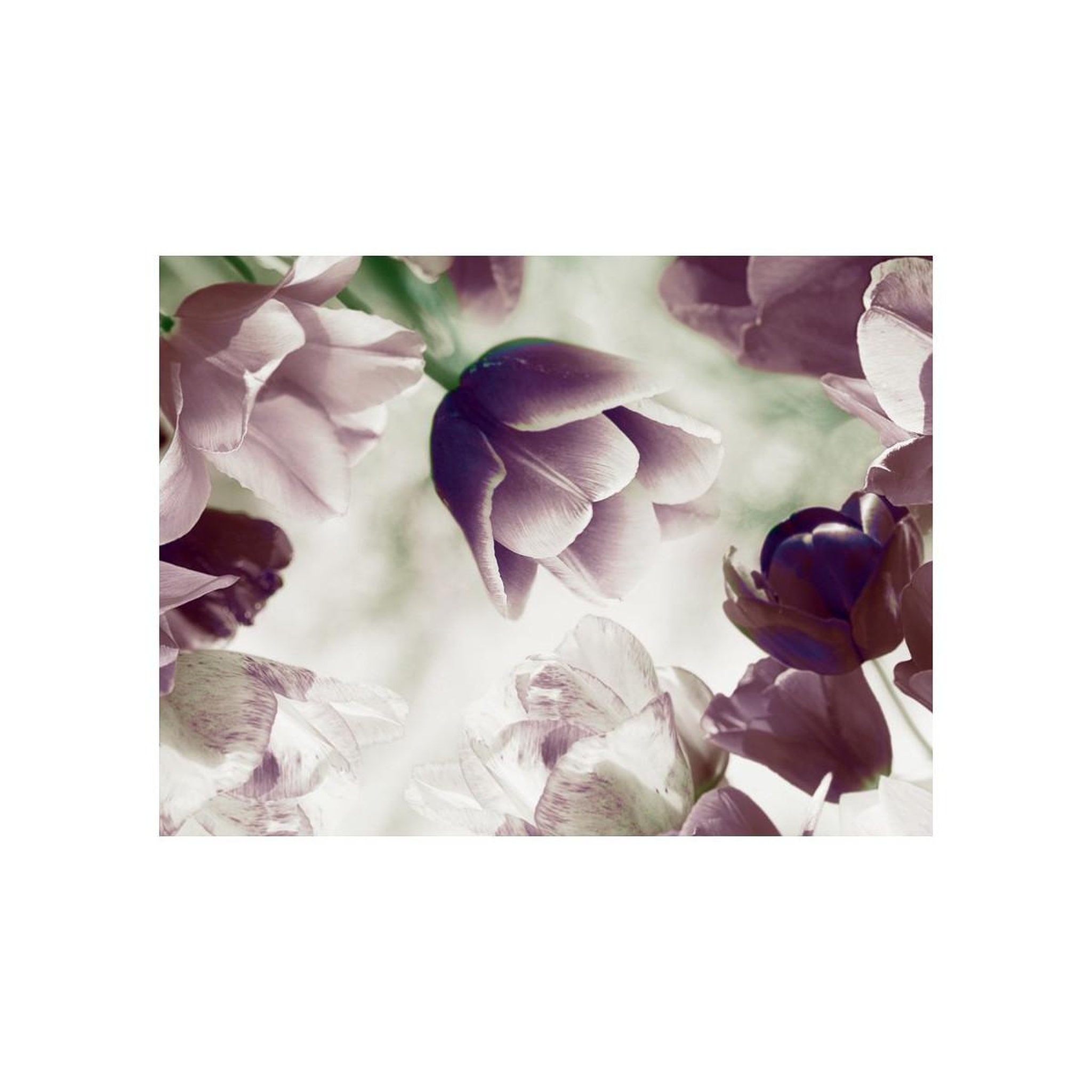 Voir la diapositive 2 : Paris Prix Papier peint  heavenly tulips