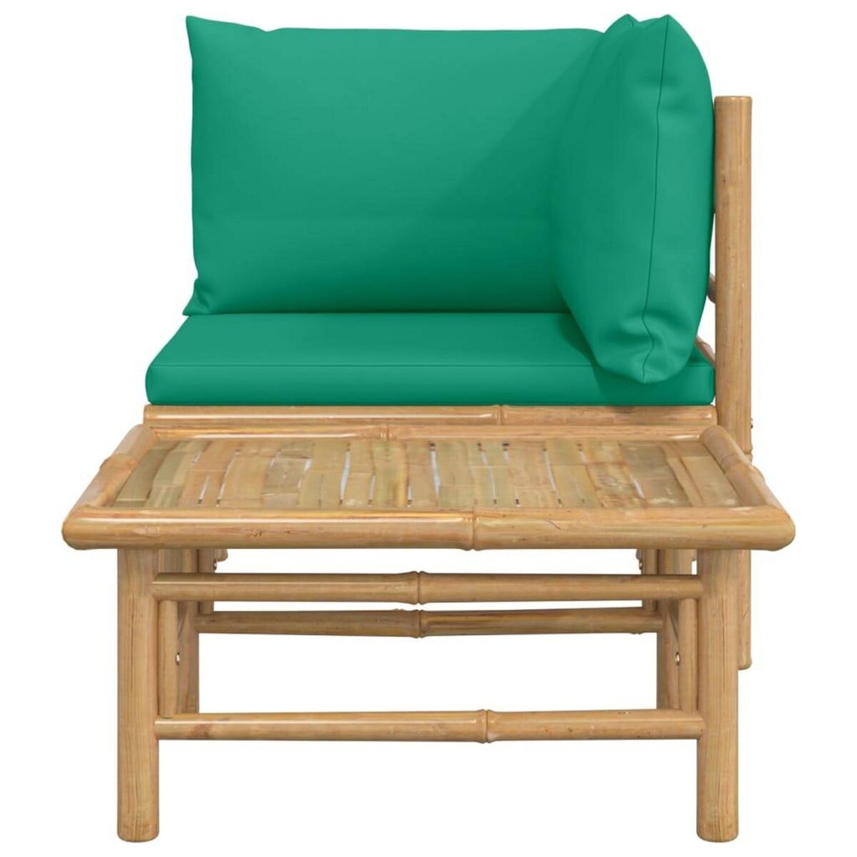 VIDAXL Salon de jardin 2 pcs avec coussins vert bambou
