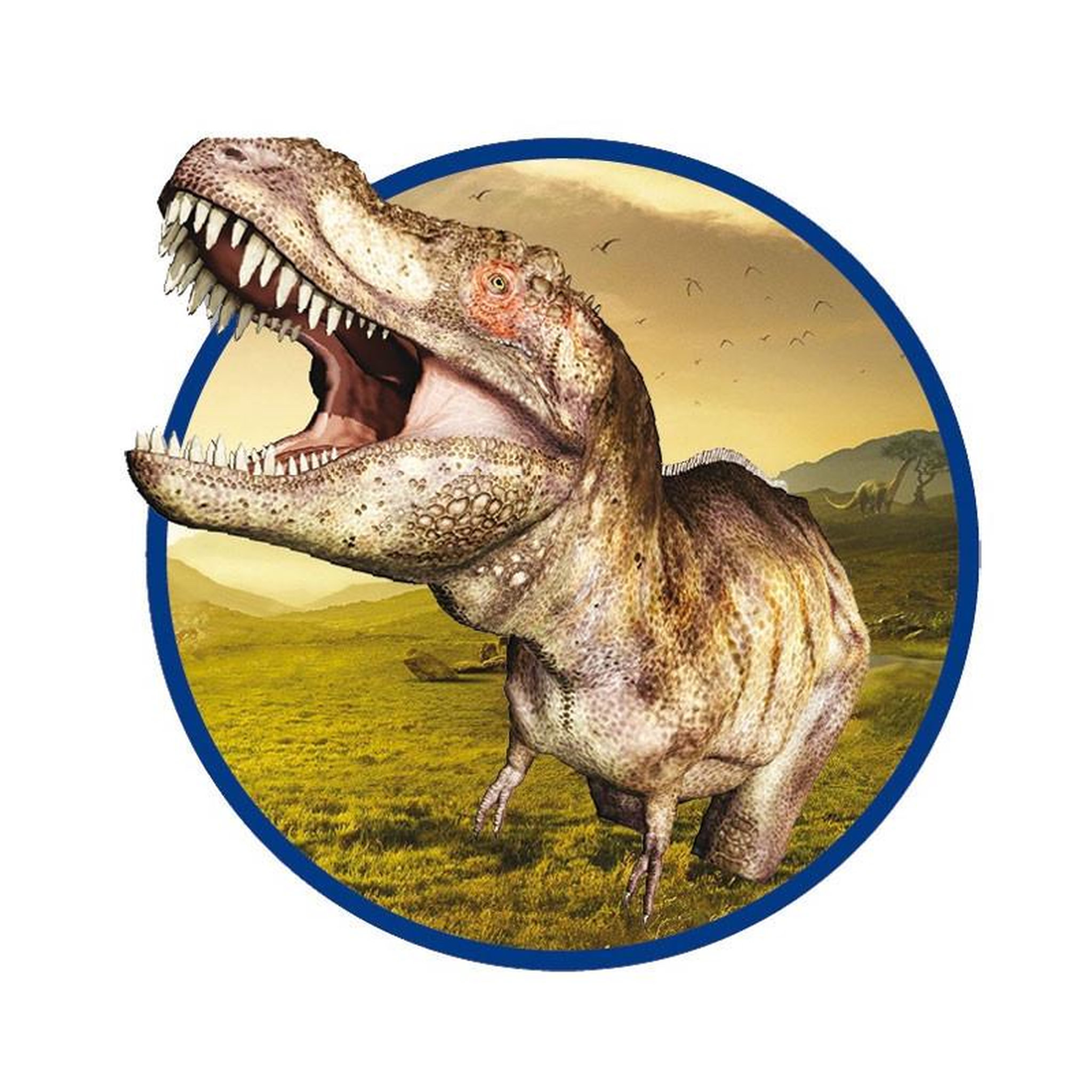 Voir la diapositive 4 : SES SES Recherche ton Tyrannosaure