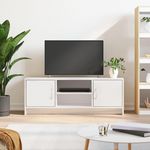 VIDAXL Meuble TV blanc brillant 102x30x37,5 cm bois d'ingenierie