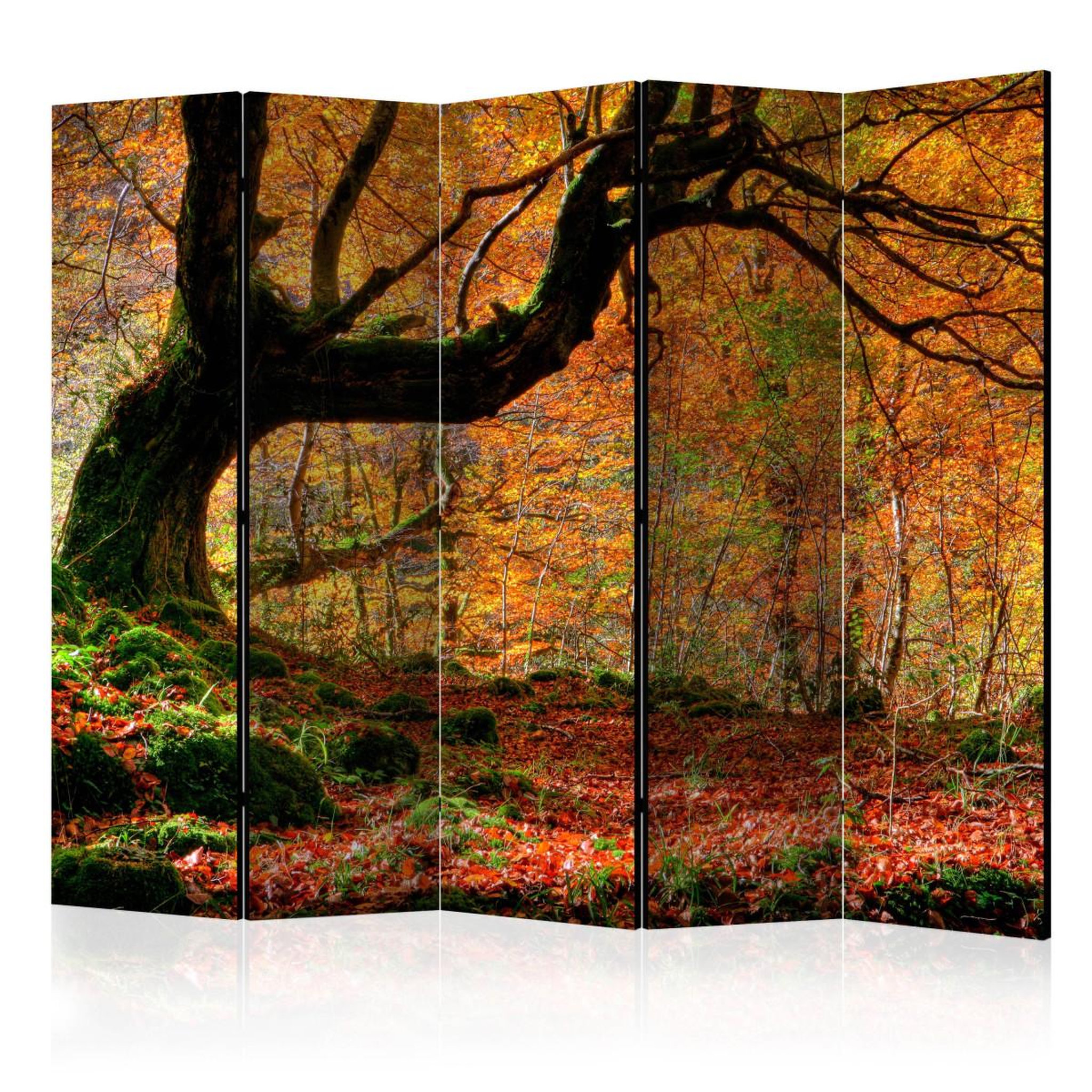 Paris Prix Paravent 5 volets  autumn, forest & leaves  172x225cm