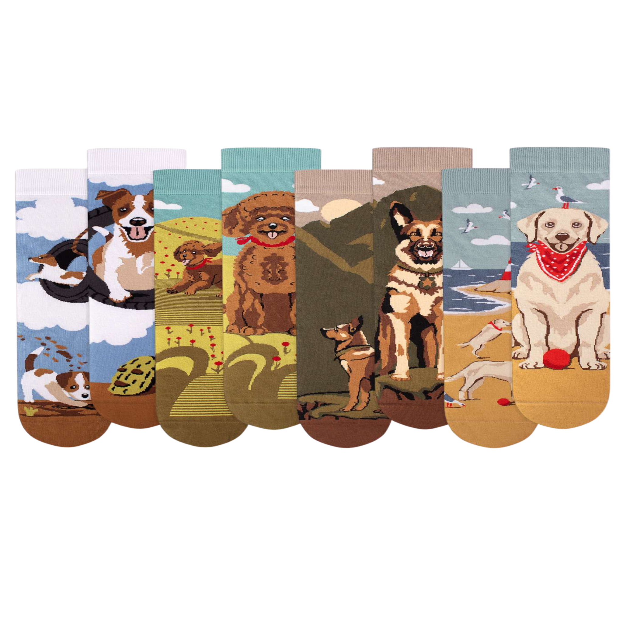 PIRIN HILL Coffret de 4 paires de chaussettes arty chiens. Coloris disponibles : Multicolore