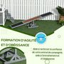 Voir la diapositive 5 : PAWHUT Agility sport pour chien bascule - bascule pour chien - équipement entrainement chien - bois sapin pré-huilé feutre bitumé antidérapant brique gris