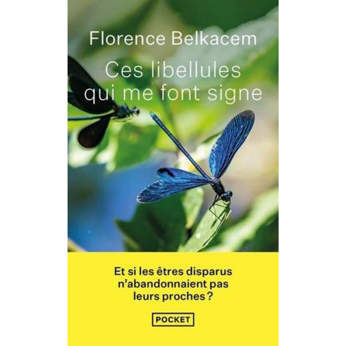 CES LIBELLULES QUI ME FONT SIGNE, Belkacem Florence